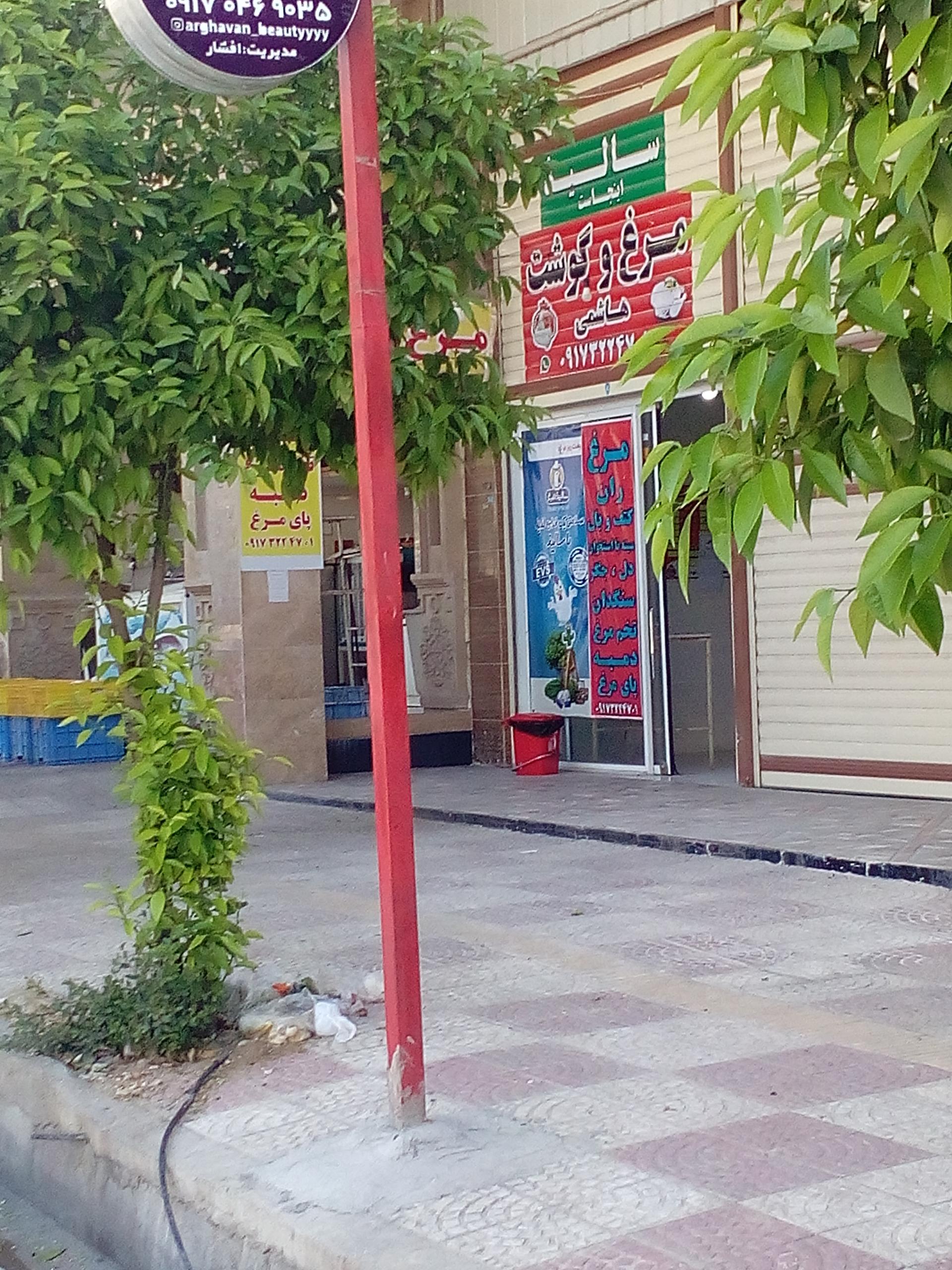 عکس مرغ وگوشت هاشمی