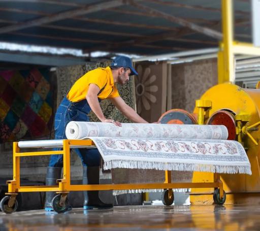 عکس قالیشویی ونوس