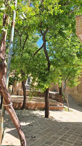 عکس اقامتگاه سنتی آدیسه