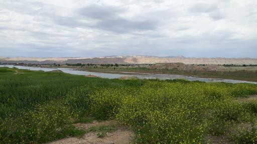 عکس ترکالکی