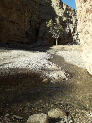 عکس آبشار آبقد