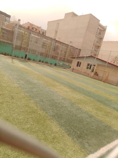 عکس بوستان بنفشه