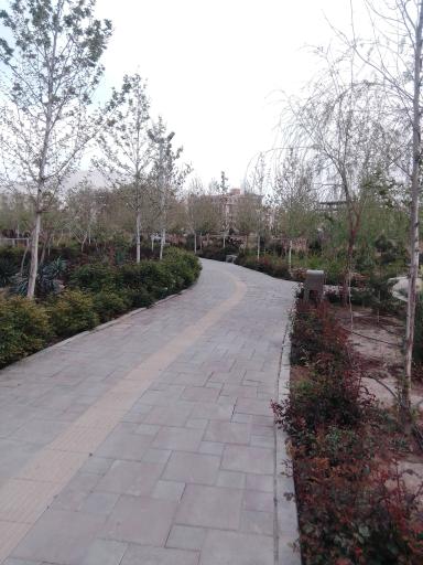 عکس بوستان بنفشه