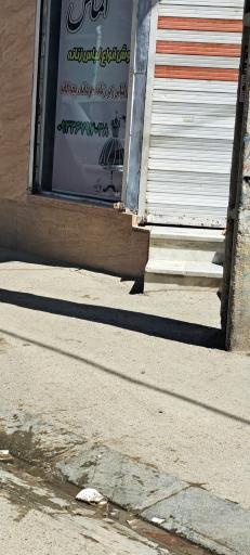 عکس مزون‌الماس