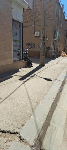 عکس مزون‌الماس