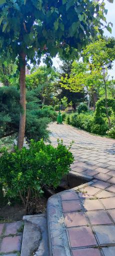 عکس بوستان افرا