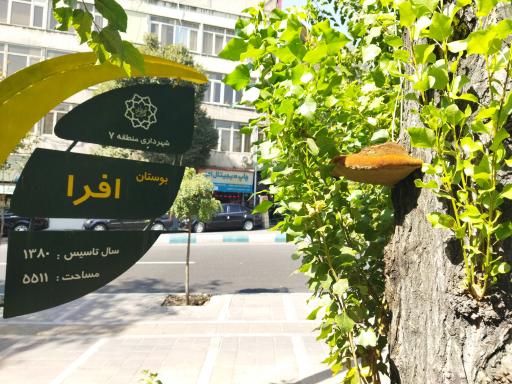 عکس بوستان افرا