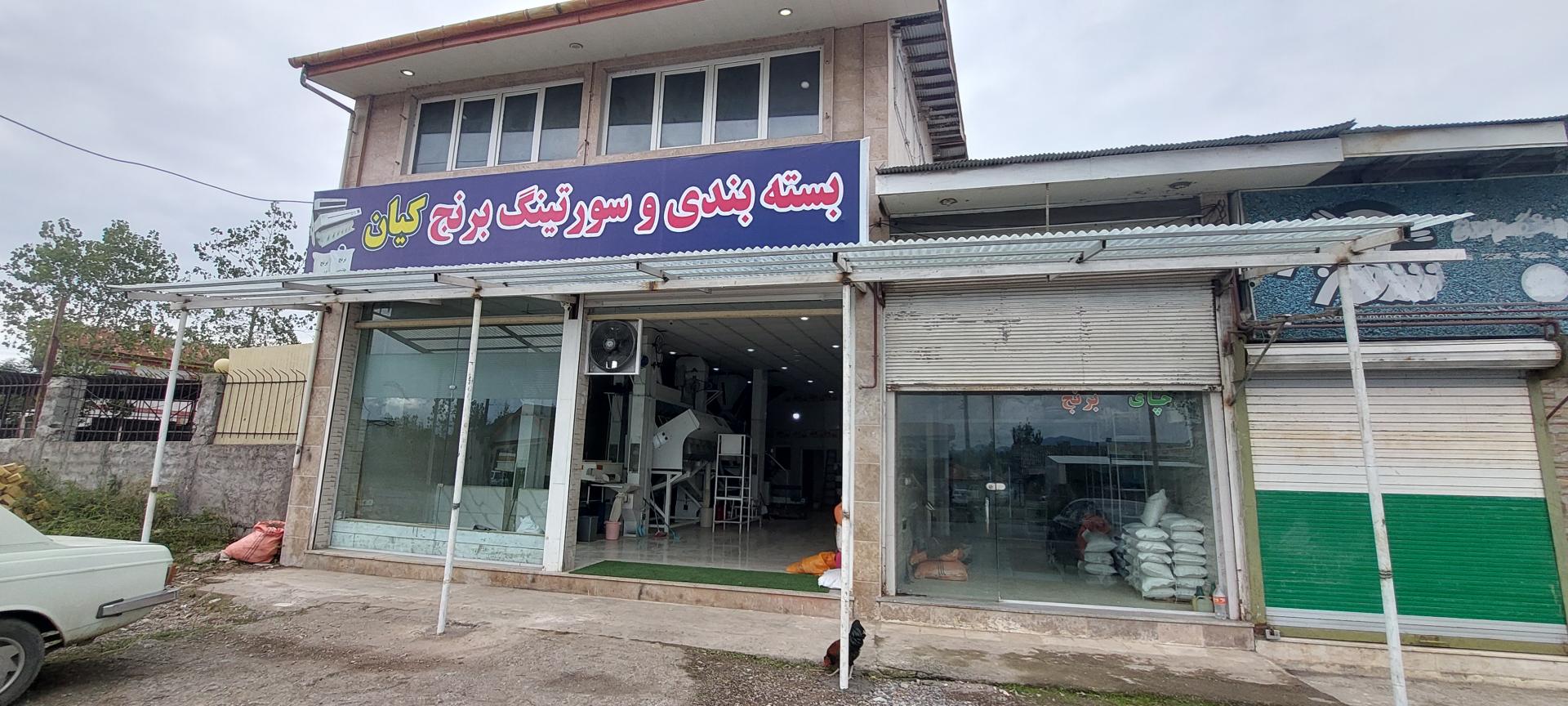 عکس سورتینگ و بسته بندی برنج کیان