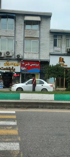 پروتئینی یاسر