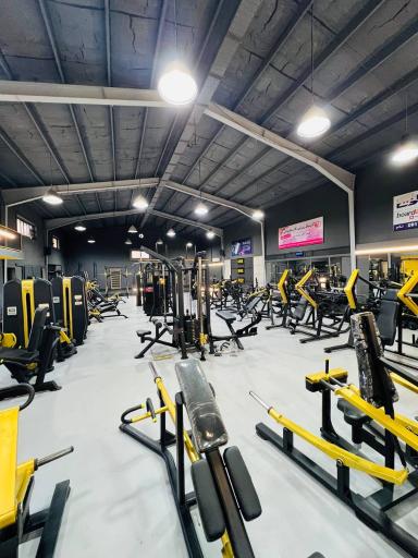 عکس باشگاه بدنسازی سینا