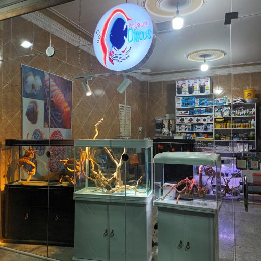 عکس فروشگاه تجهیزات آکواریوم پروفشنال دیسکس