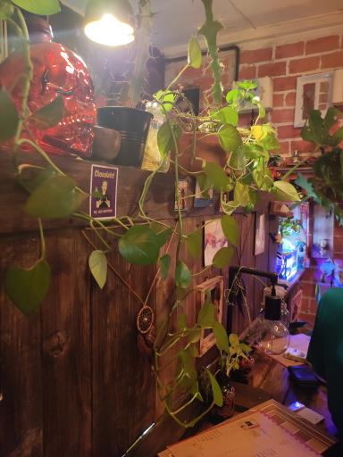 عکس کافه آنیشار