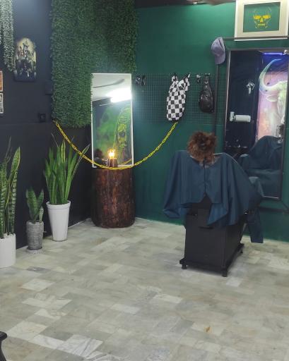 عکس پیرایشگاه اکتیو کات