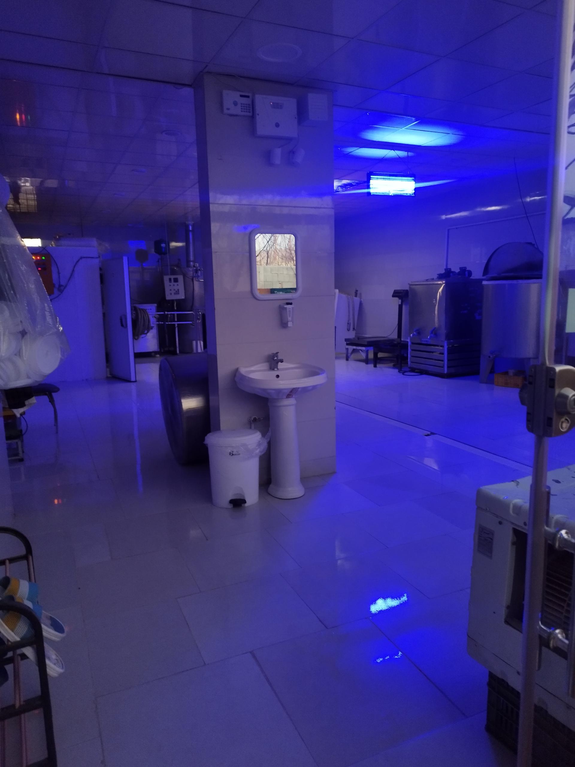 عکس لبنیات سنتی مالار