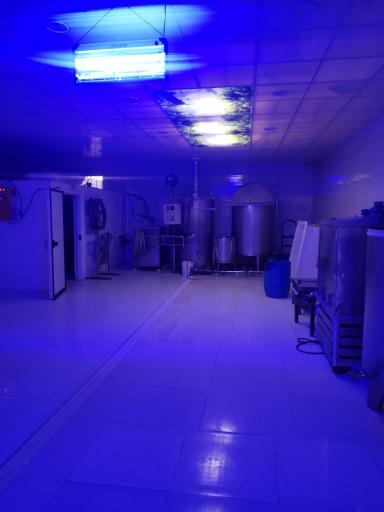 عکس لبنیات سنتی مالار