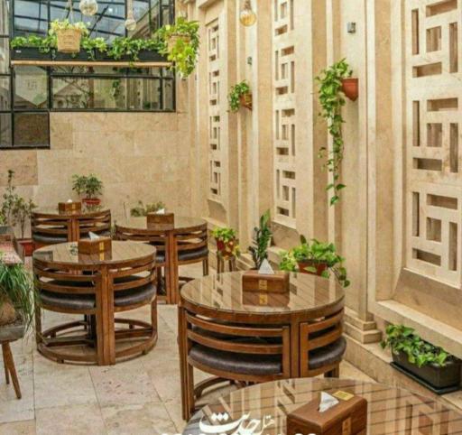 عکس گالری چوب سپنتا