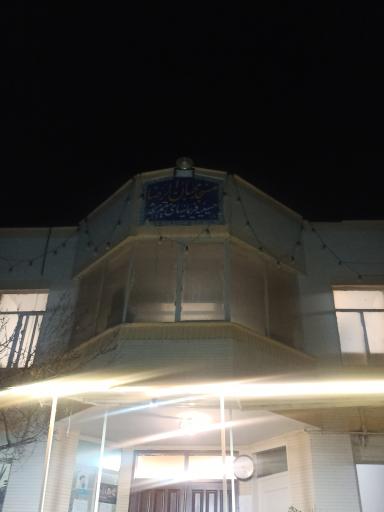 عکس محبان الرضا