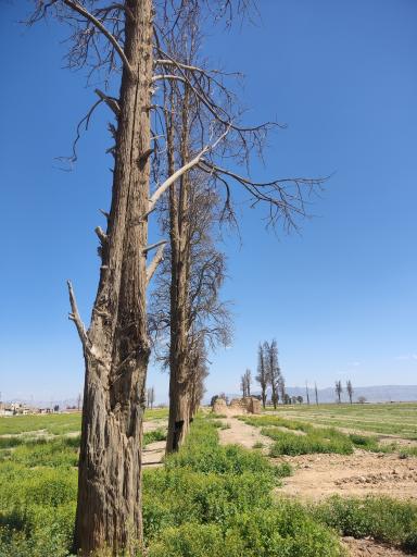 عکس مجموعه تاریخی باغ خان خرامه