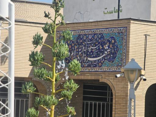 عکس شهرداری لامرد