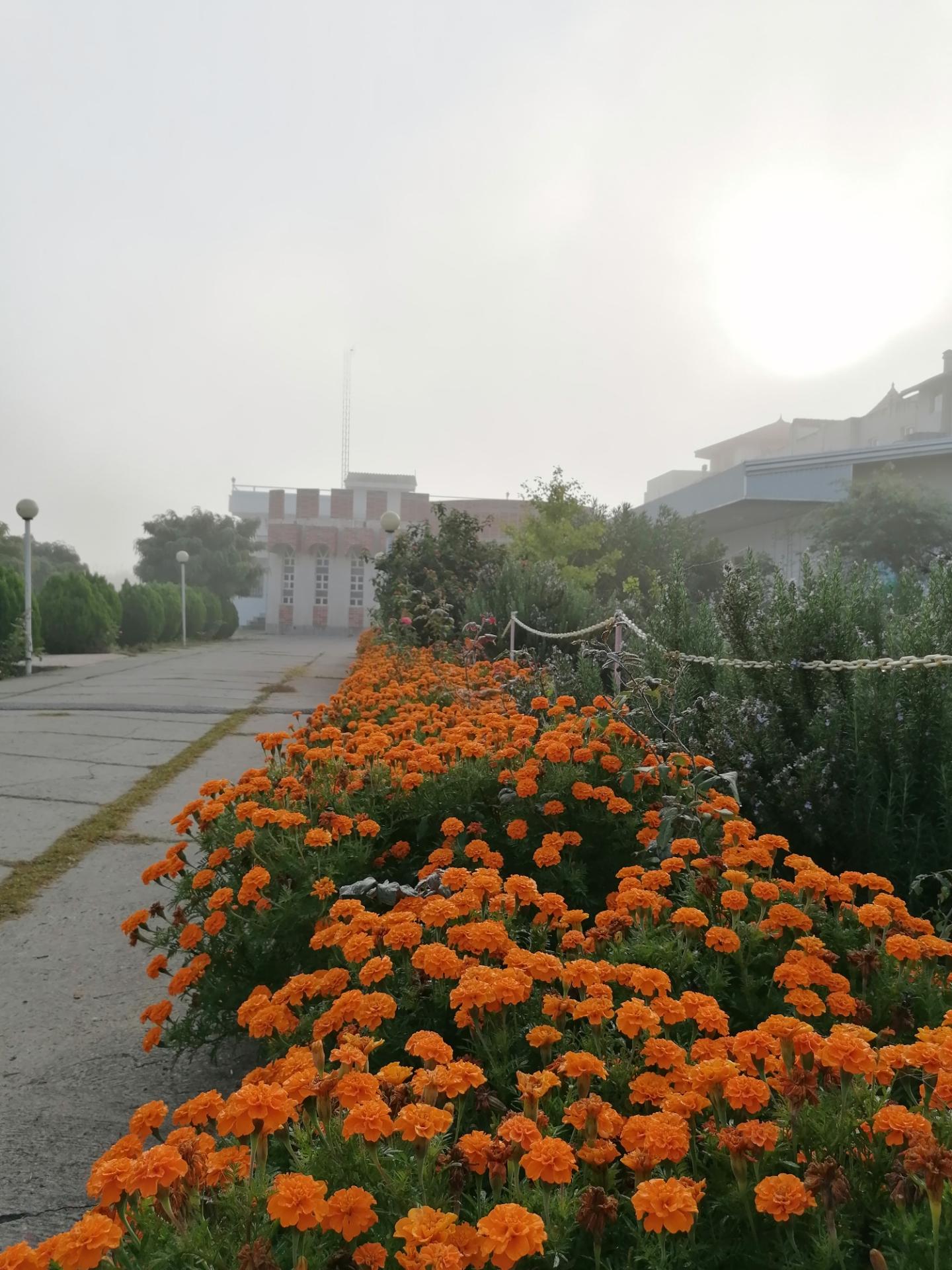 عکس موسسه غیرانتفاعی سنا