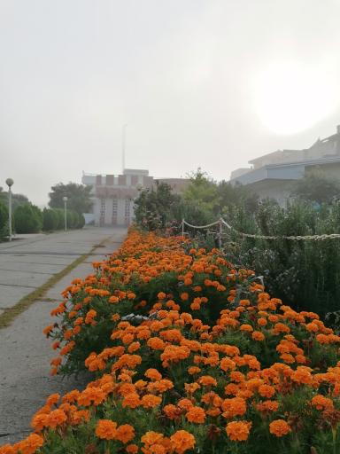 عکس موسسه غیرانتفاعی سنا