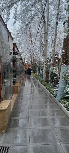 عکس رستوران باغ دربار