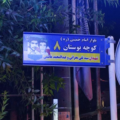 عکس رادیولوژی و سونوگرافی دکتر عابد مهرور