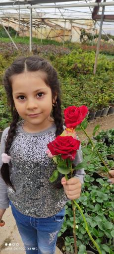 عکس نهال گل رضایی