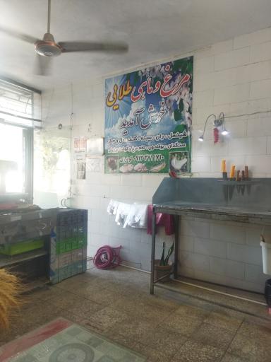 عکس مرغ و ماهی طلایی