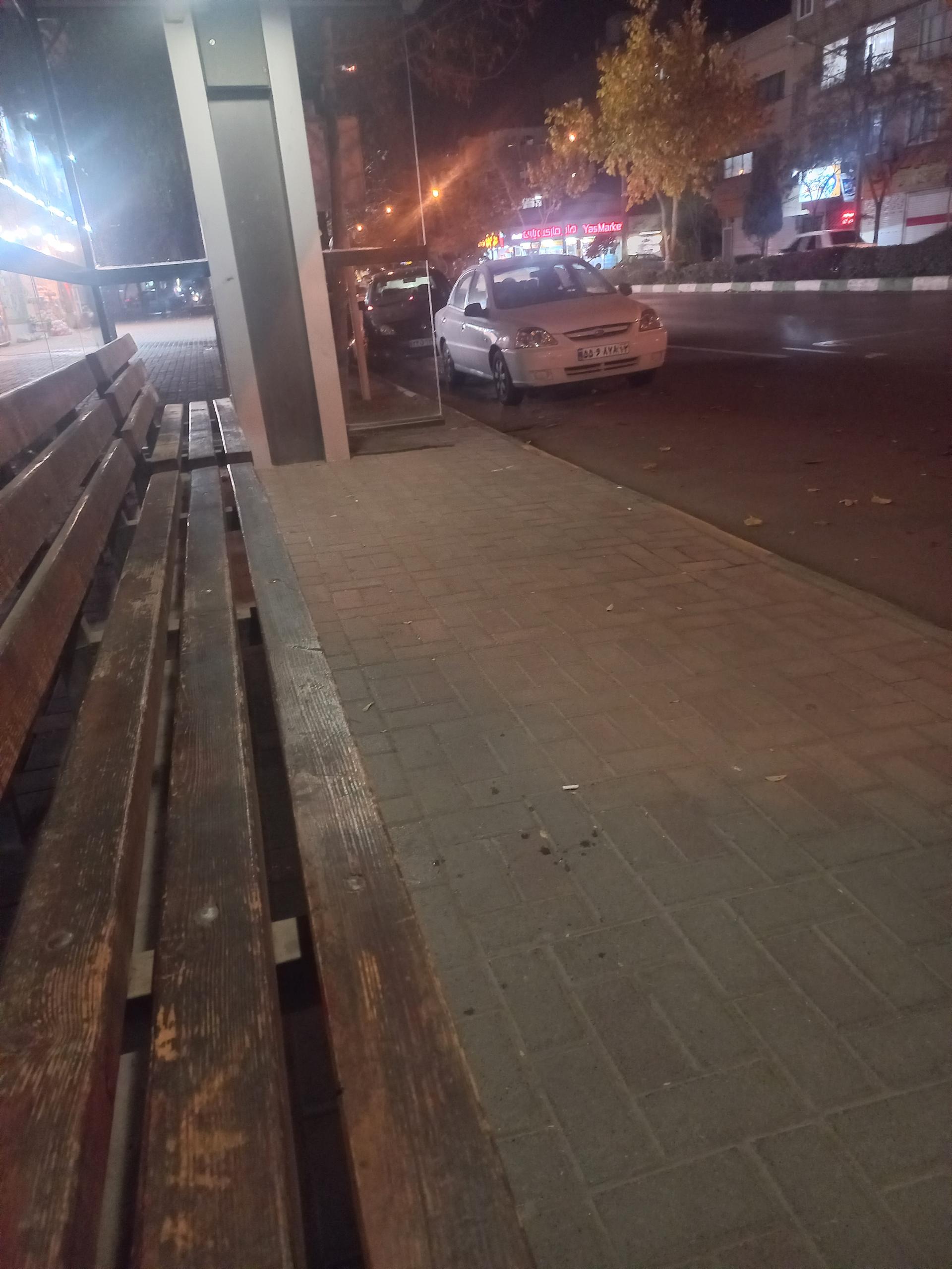 عکس  جلال آل احمد 48