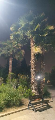 عکس درب ورودی شمالی بوستان بسیج