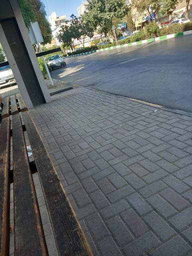 عکس  جلال آل احمد 48
