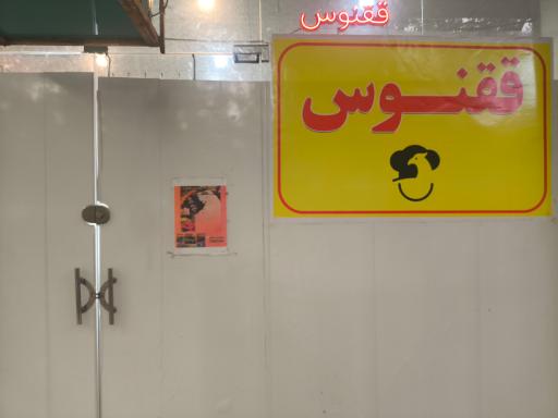 عکس محصولات پروتئینی ققنوس