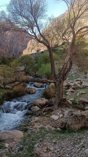 عکس تنگه عزیز آباد