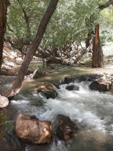 عکس تنگه عزیز آباد