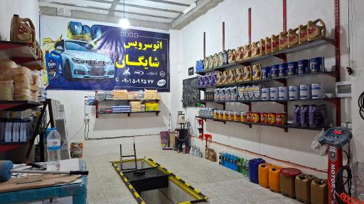 عکس تعویض روغنی شایگان