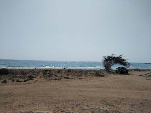 ساحل مسن