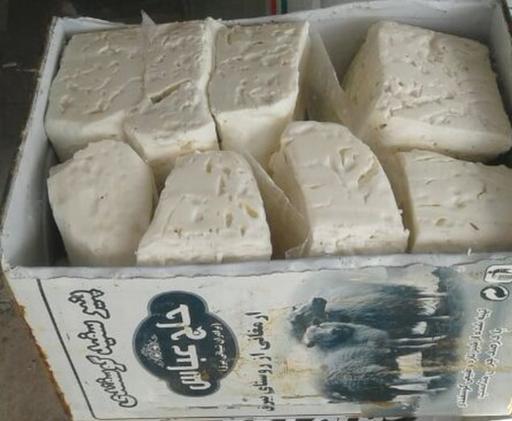 عکس پخش پنیرلیقوان شیبانی