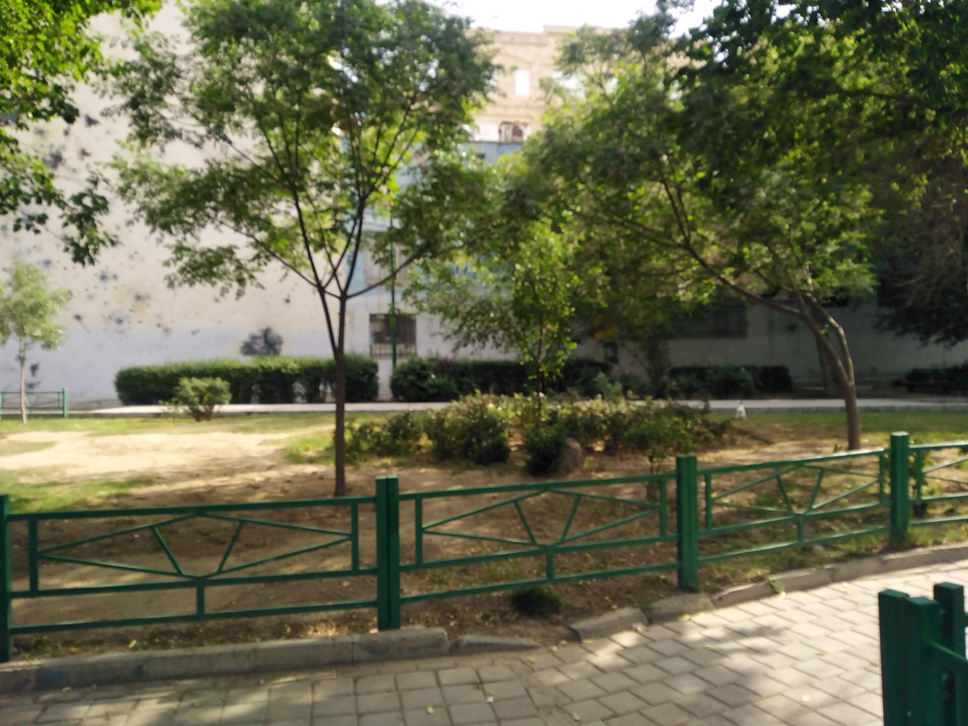 عکس بوستان سجاد