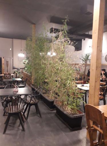 عکس کافه لارزا 