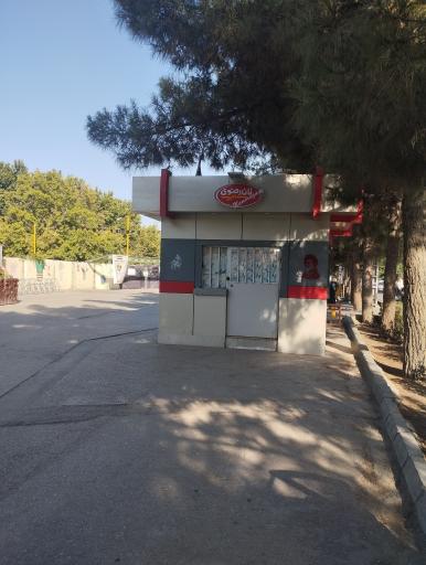 عکس نان رضوی حجاب