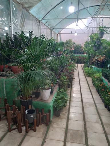 عکس گلسرای طراوت