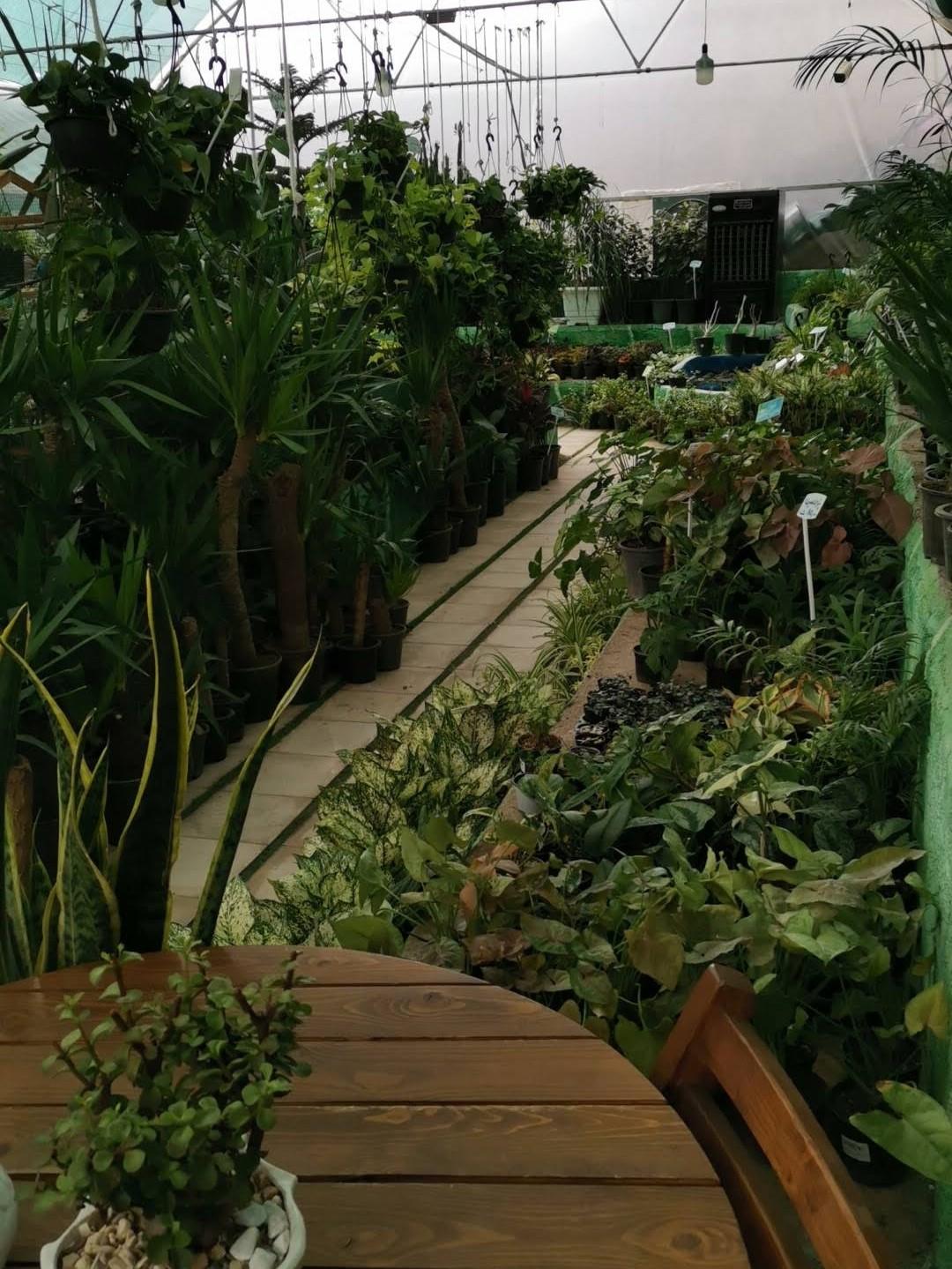 عکس گلسرای طراوت