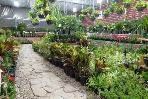 عکس گلسرای طراوت