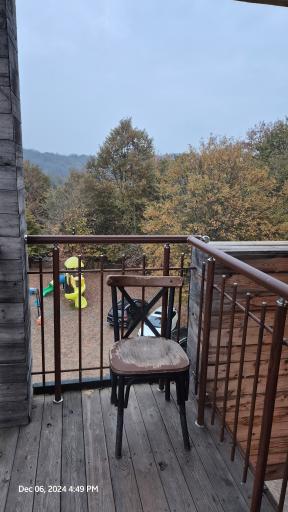 عکس کافه رستوران جنگلی شارن