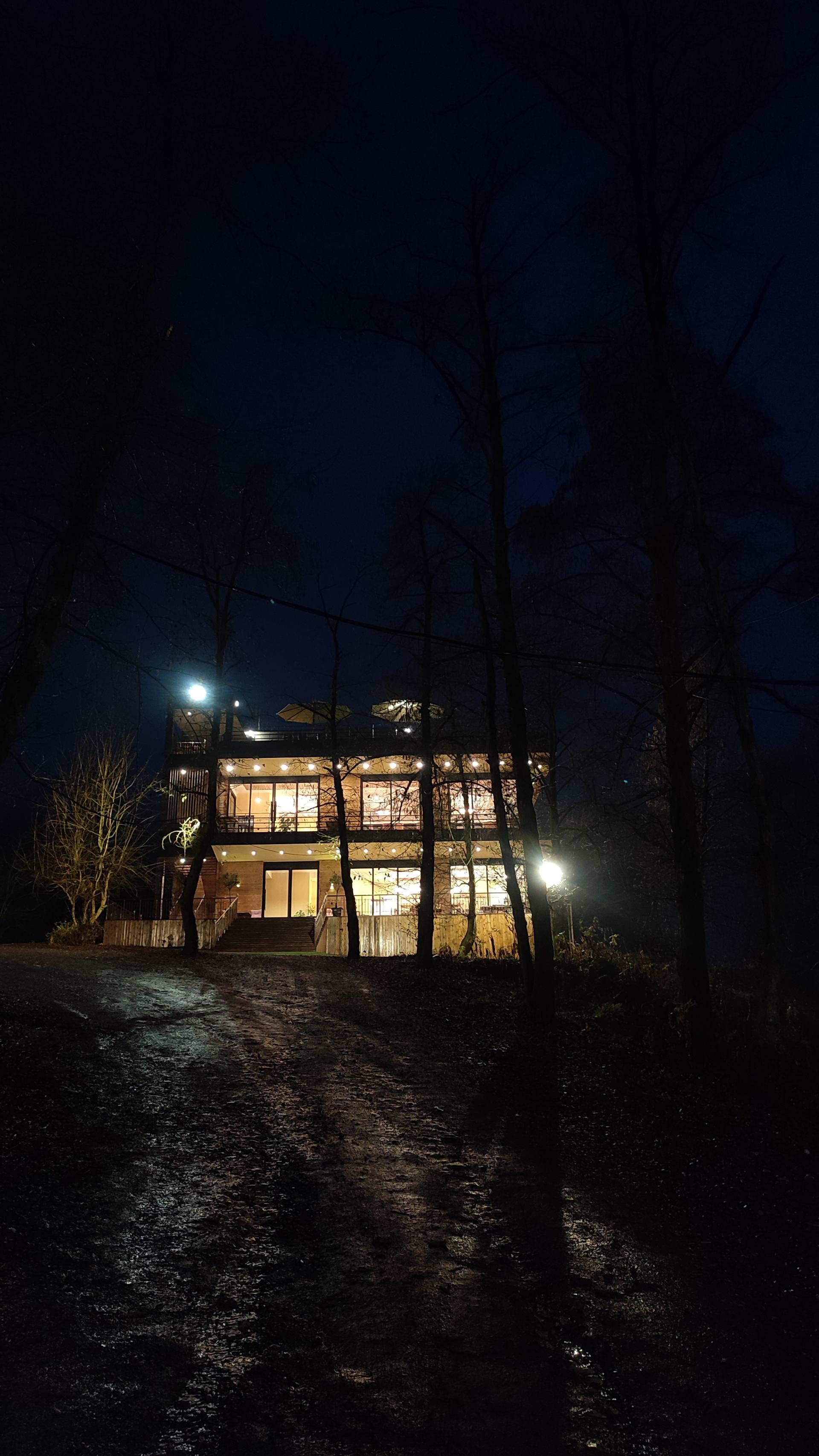 عکس کافه رستوران جنگلی شارن