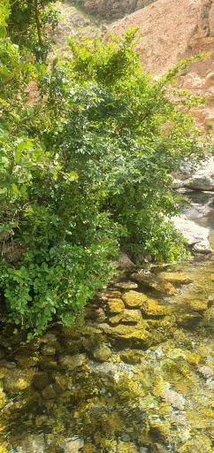 عکس چاه روستای دربند تیان