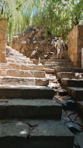 عکس استراحتگاه دره ارغوان