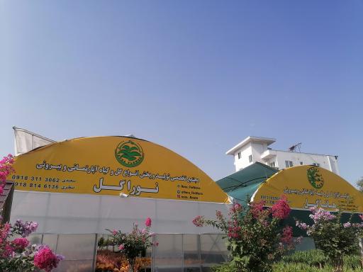 عکس نمایشگاه گل و گیاه هاناگل و نوراگل
