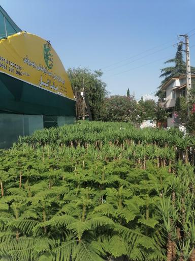 عکس نمایشگاه گل و گیاه هاناگل و نوراگل